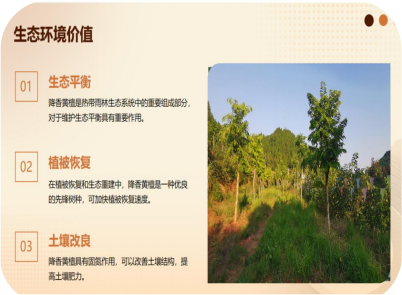 1763003671132903.png 3333333.png