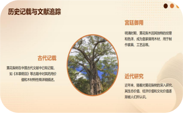 1763003732586523.png 55555.png