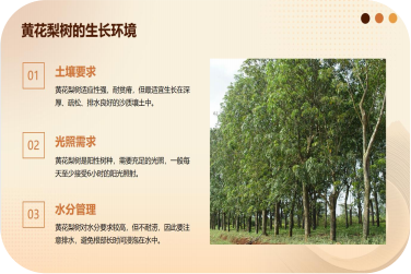 1763003777594139.png 777777.png